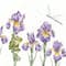 Bothy Threads Damsels & Dragons Counted Cross Stitch Kit